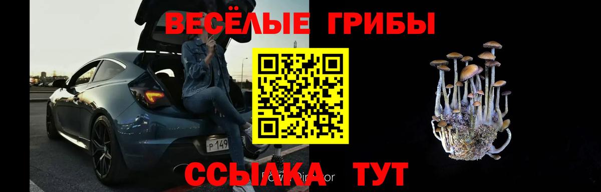Галлюциногенные грибы Psilocybine cubensis Чита